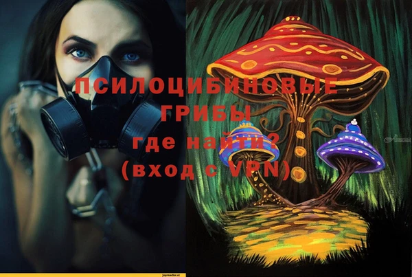 бошки Нязепетровск