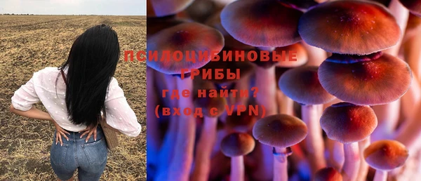 каннабис Новодвинск