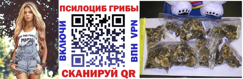 Псилоцибиновые грибы Cubensis Купить Среднеуральск